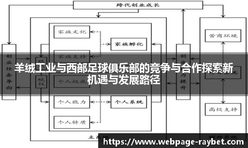 羊绒工业与西部足球俱乐部的竞争与合作探索新机遇与发展路径