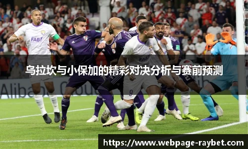 雷竞技RAYBET
